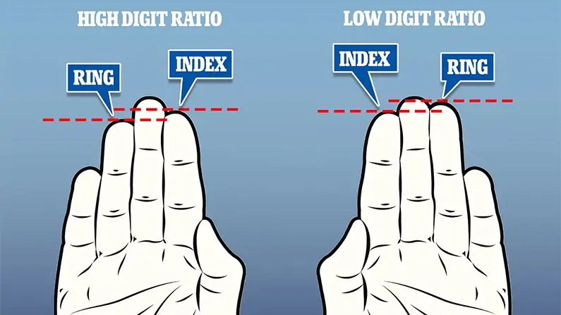 10 Fascinating Biological Differences Between Men and Women