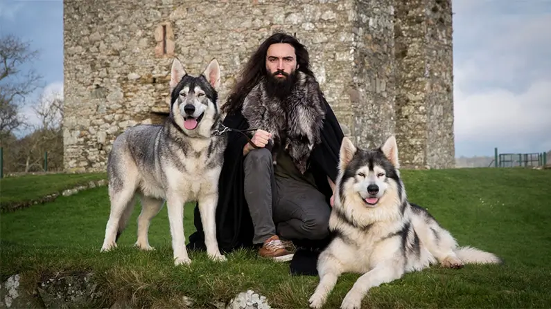 Everything You Need to Know About Dogs: 10 Exciting Facts