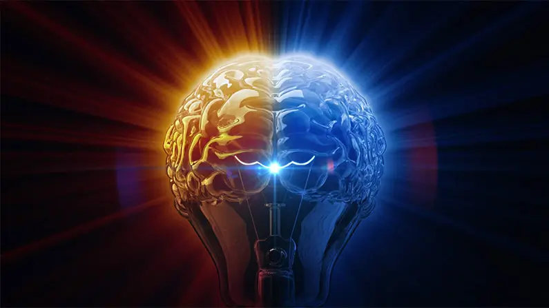 The Brain: 10 Surprising Facts From Your Inner Control Room