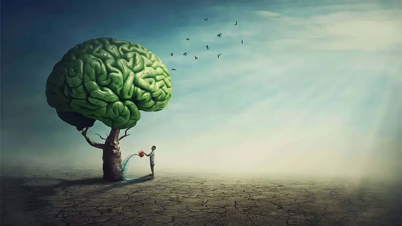 The Brain: 10 Surprising Facts From Your Inner Control Room