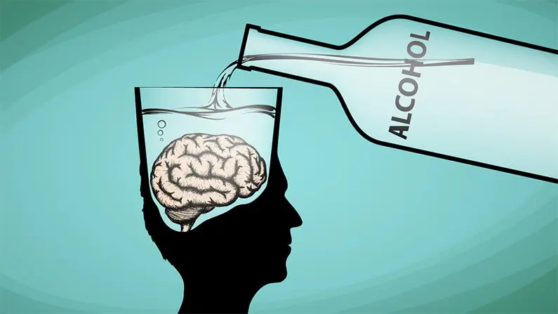 The Brain: 10 Surprising Facts From Your Inner Control Room