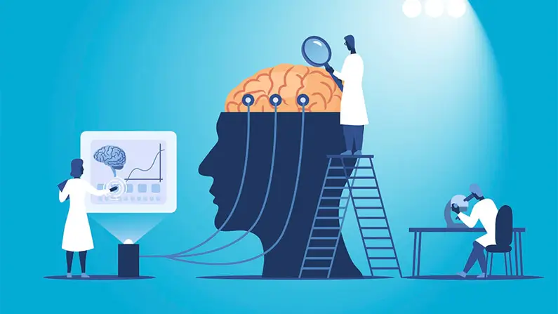 The Brain: 10 Surprising Facts From Your Inner Control Room