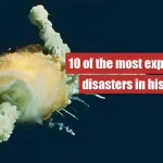 10 Animals With the Strongest Bite Force in the World