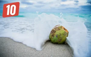 10 Random and Kickass Facts of the Day – Part 4