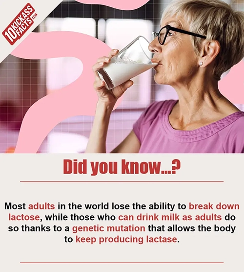 Random Picture Fact #11