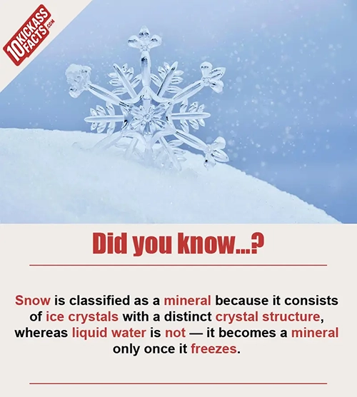 Random Picture Fact #13