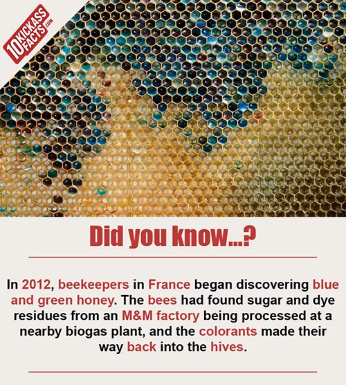 Random Picture Fact #15