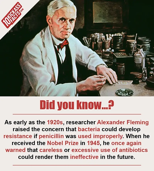Random Picture Fact #