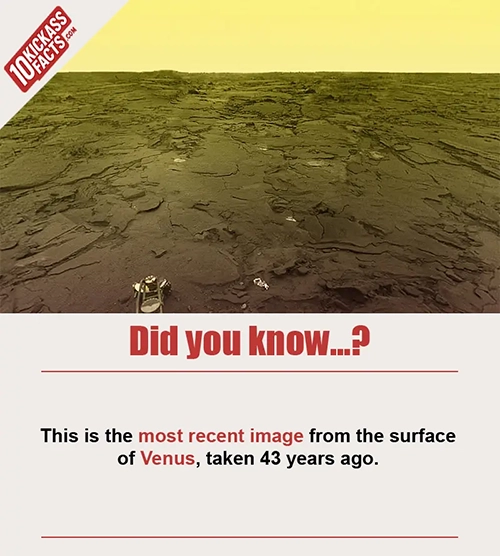 Random Picture Fact #24