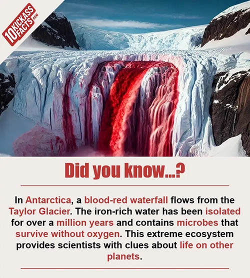 Random Picture Fact #6
