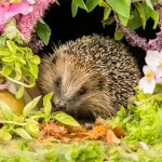 10 Important Facts About the Environment Everyone Should Know