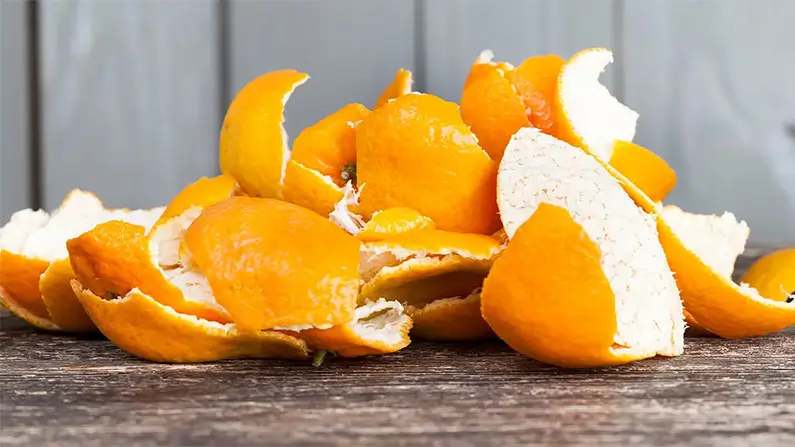 10 Juicy Facts About Oranges You’ve Probably Never Heard Before