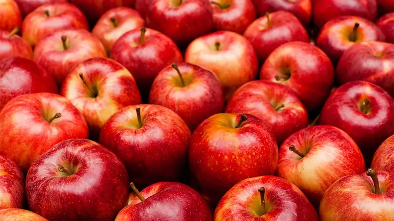 10 Sweet Facts About Sugar You Probably Didn’t Know