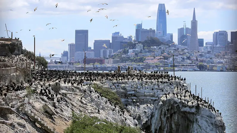 10 Things You Never Knew About Alcatraz Prison