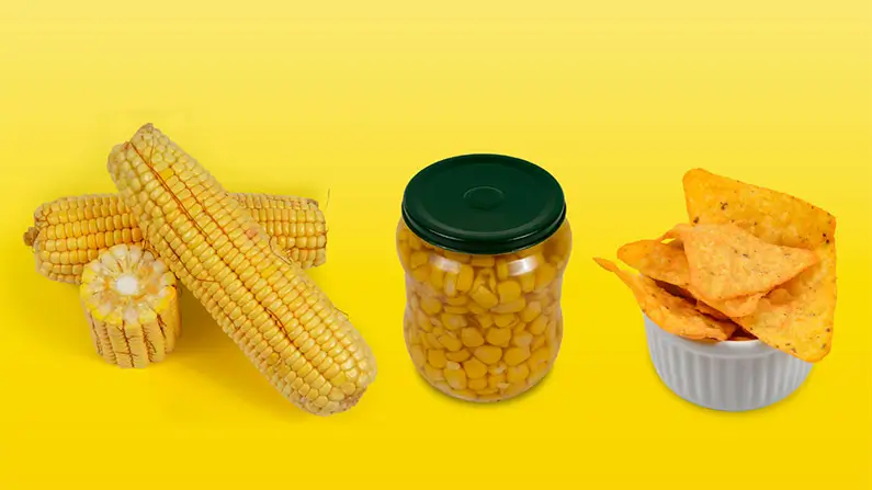 Corn You Believe It? 10 Facts You Should Know