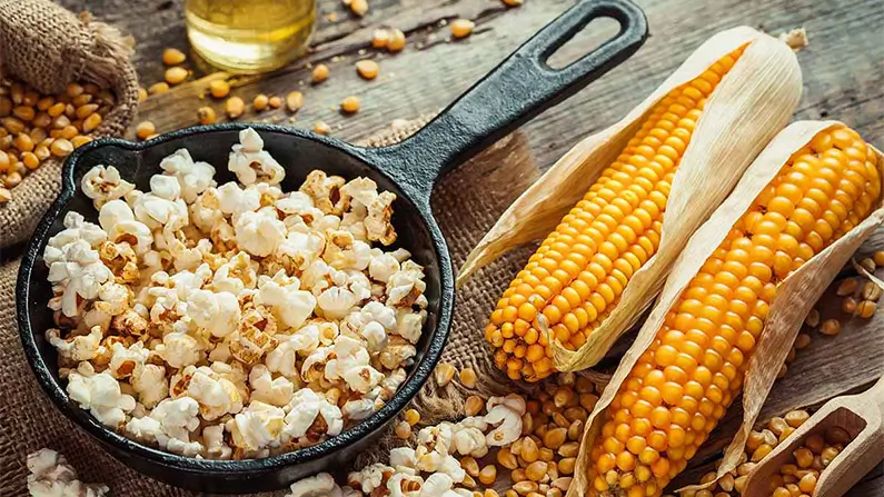 Corn You Believe It? 10 Facts You Should Know