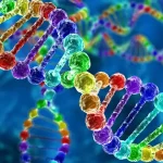 10 Fascinating Biological Differences Between Men and Women