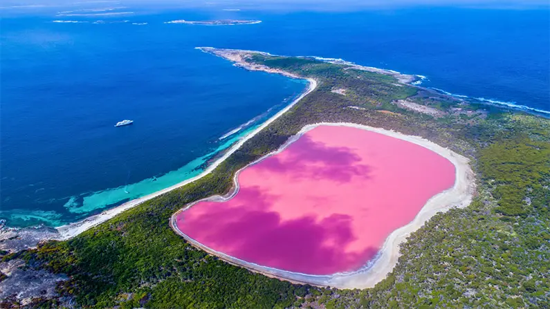 Australia: 10 Wild Facts That Will Amaze You