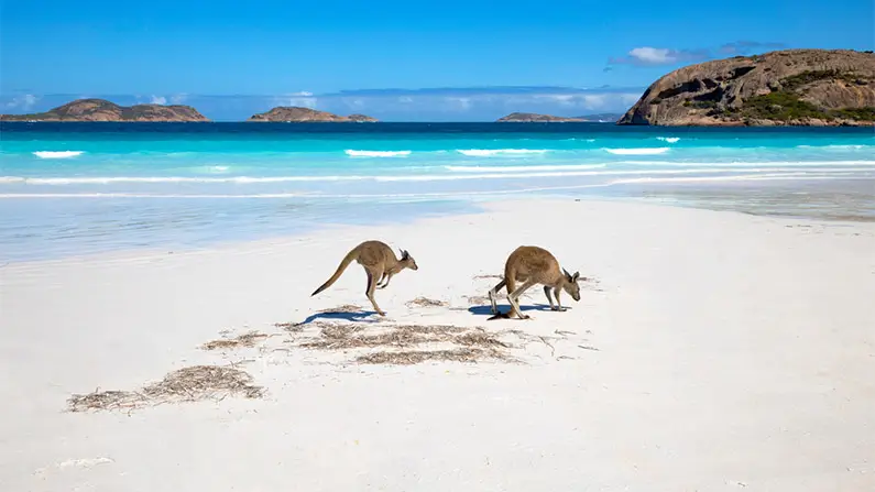 Australia: 10 Wild Facts That Will Amaze You