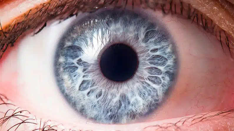 Blue Eyes? 10 Surprising and Kickass Facts You’ll Love