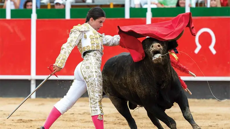 10 Moo-Velous Things You Didn’t Know About Cows