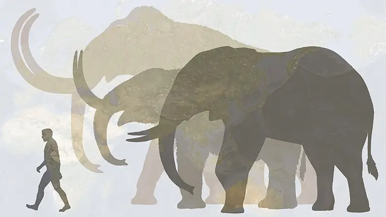 Giants of the Ice Age: 10 Incredible Facts About Mammoths