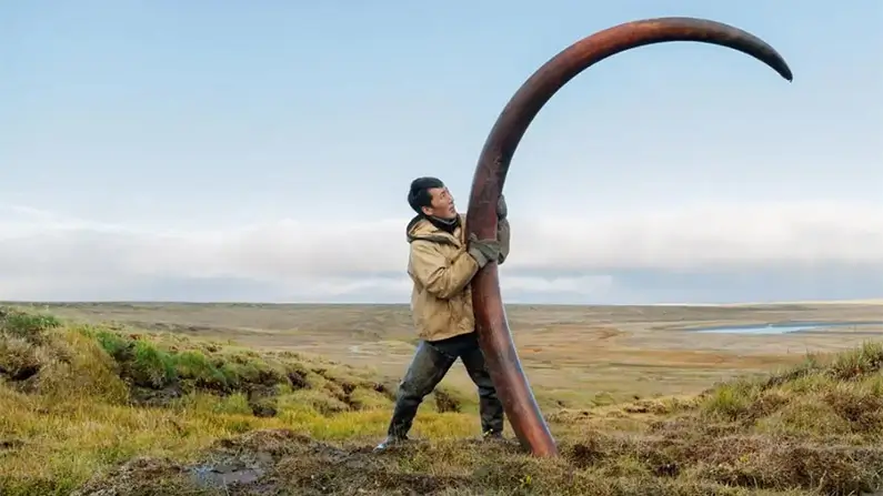 Giants of the Ice Age: 10 Incredible Facts About Mammoths
