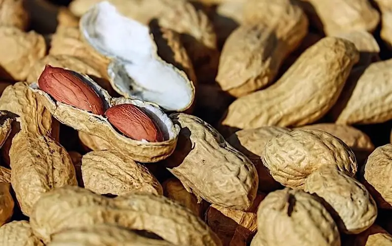 10 Peanut Facts That Sound Fake (But Aren’t)