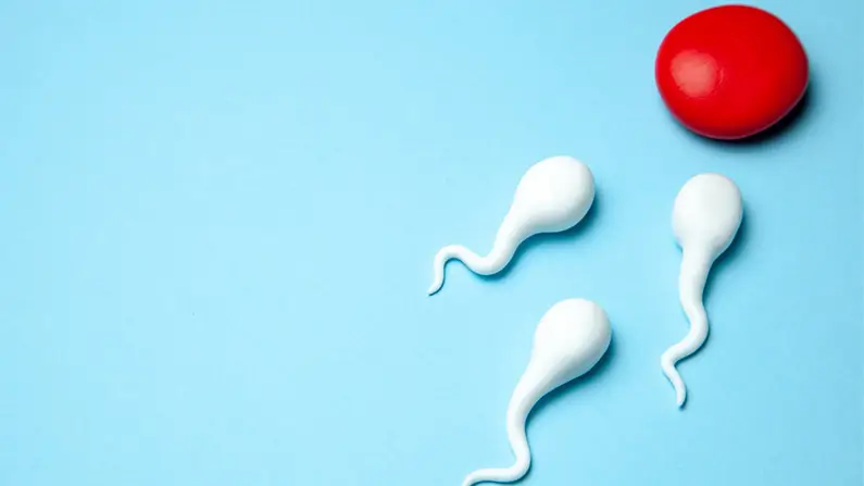 10 Facts About Sperm to Share With Your Friends