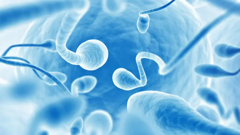 10 Facts About Sperm to Share With Your Friends