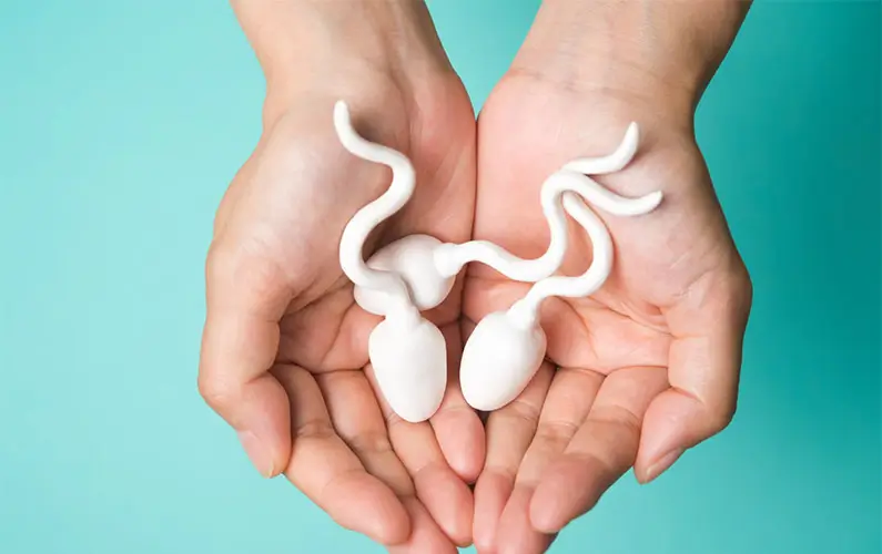 10 Facts About Sperm to Share With Your Friends